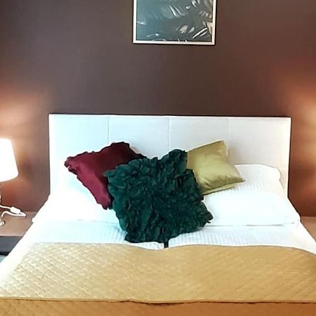 Luxury Apartment - Rakowicka 6 Kraków Eksteriør billede